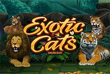 ug8tic Cats